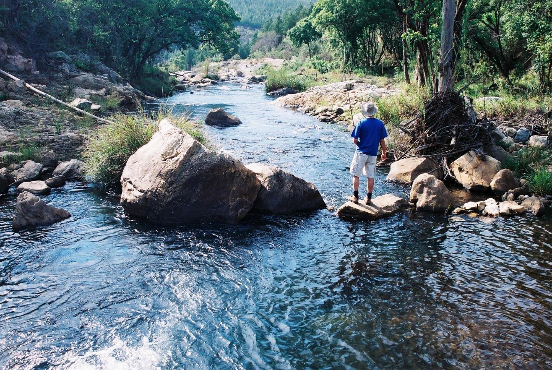 Magoebaskloof Hotel Tzaneen Exteriör bild